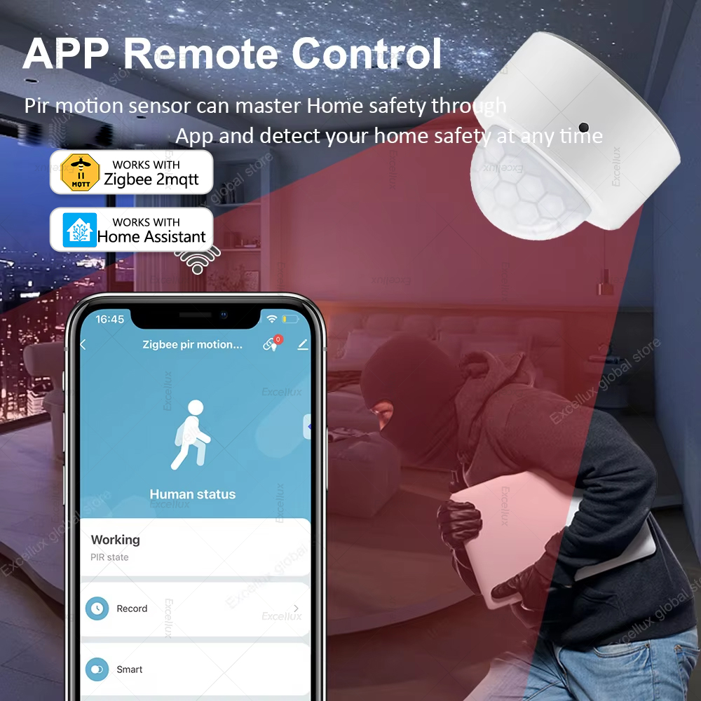 ZigBee PIR Bewegingssensor Min - Home Security Home Assistant recensie en prijs