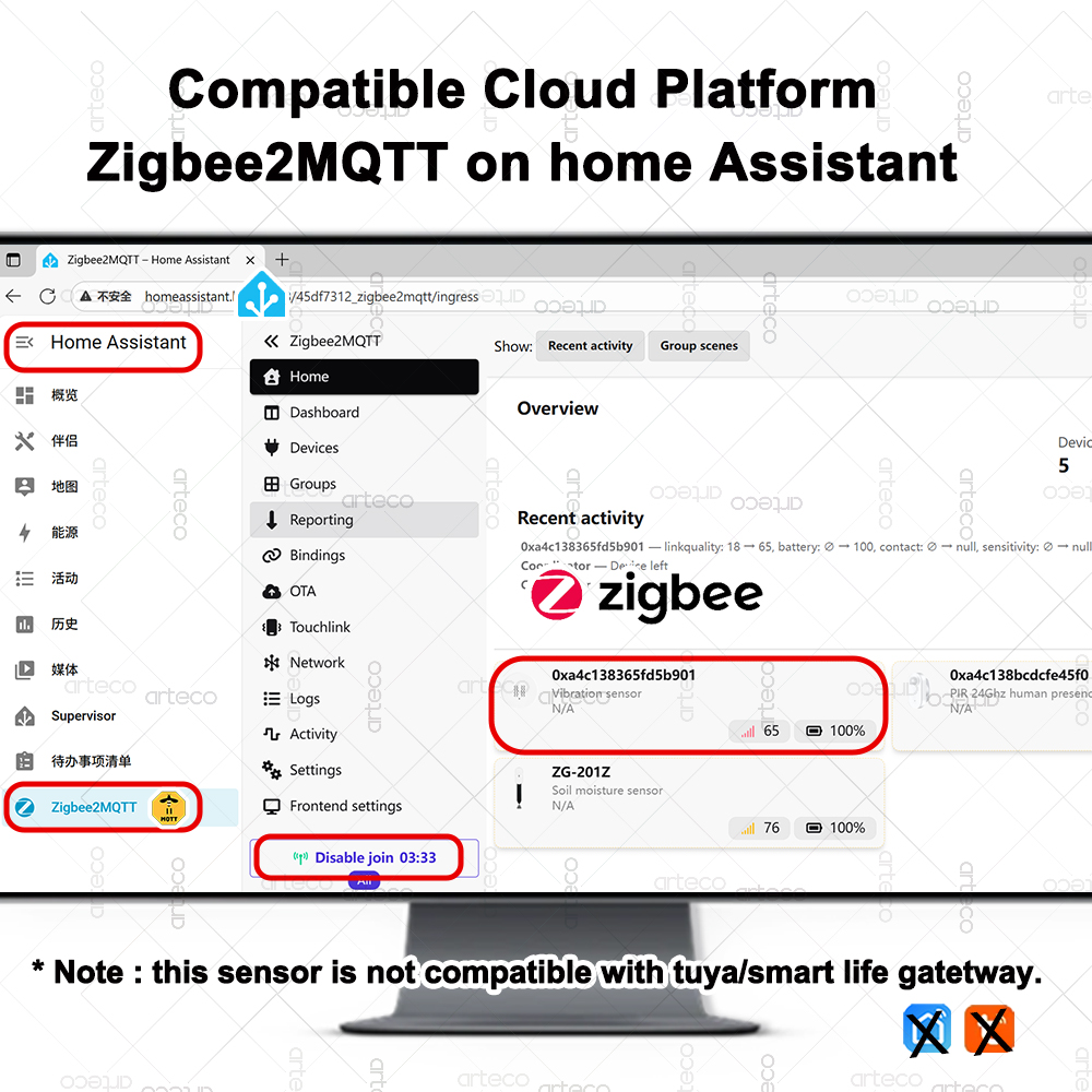Smart ZigBee 3.0 Trillingssens - Home Security Home Assistant recensie en prijs