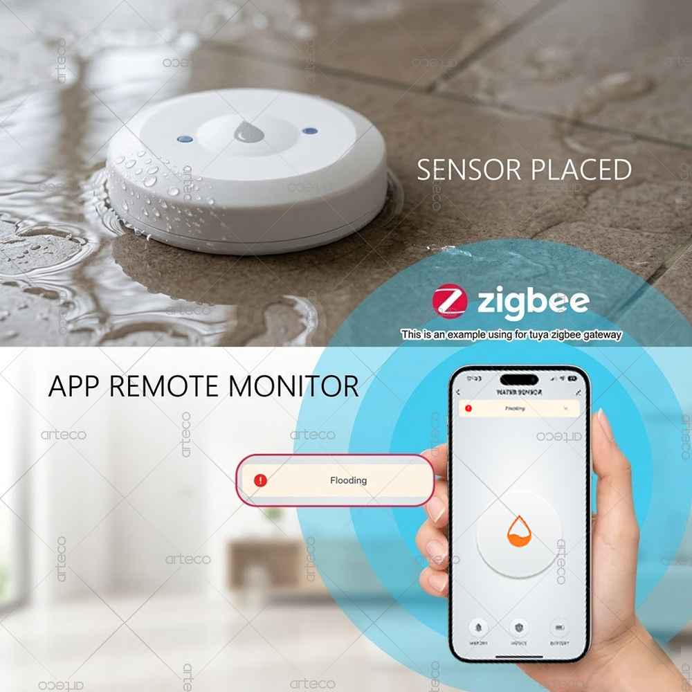 Zigbee Waterleksensor Overstro - Home Security Home Assistant recensie en prijs